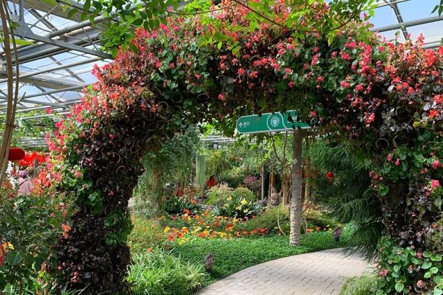 北京世界花卉大观园 四季繁花的梦幻天地