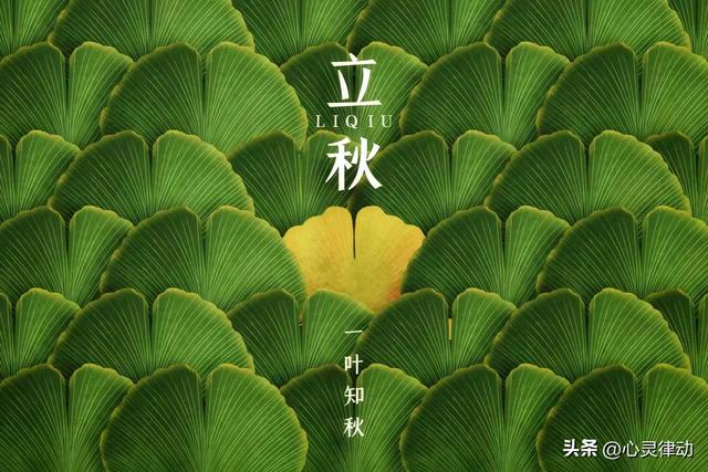 明日立秋，今年立秋不一般，立秋后还要热多久？有“秋老虎”吗？