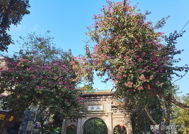 威观广西：桂平西山升级为5A景区难不难？对桂平发展有何助力？