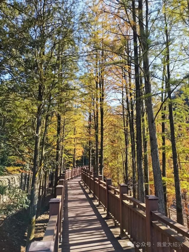 绍兴雪窦岭，竟然变成了这样……最近要去的，赶紧看！