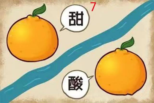 趣味益智看图猜成语，让知识以娱乐的方式入脑。