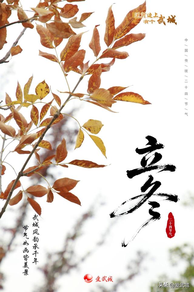 藏在武城里的立冬：每一处风景，都裹着岁月温柔