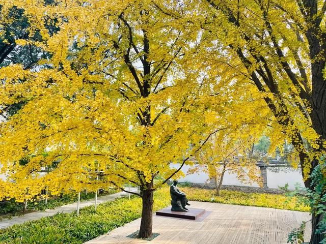 博物馆秋之旅丨赏景读史，秋光中与这四家纪念馆邂逅——