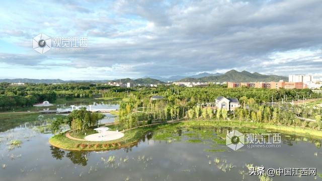 分宜：湿地公园宜居宜游