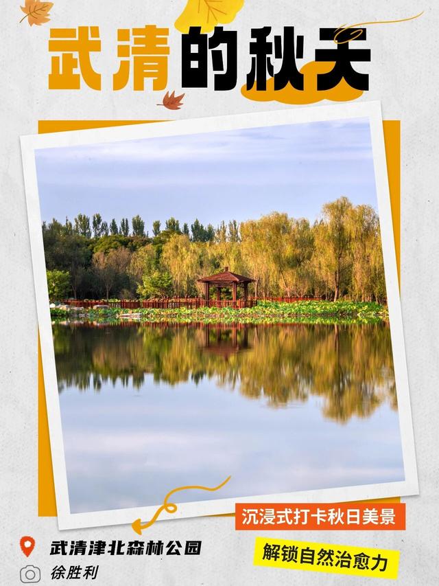 嗨，你的秋天留住了吗？