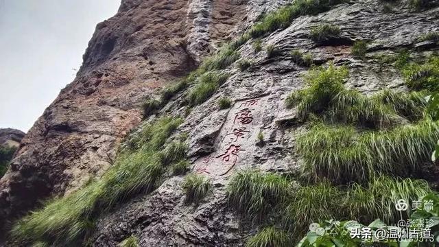 探秘雁荡三绝之一的绝美风光！来一次深度游~