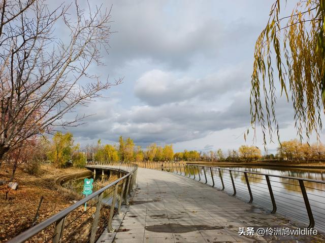 新疆昌吉头屯河公园