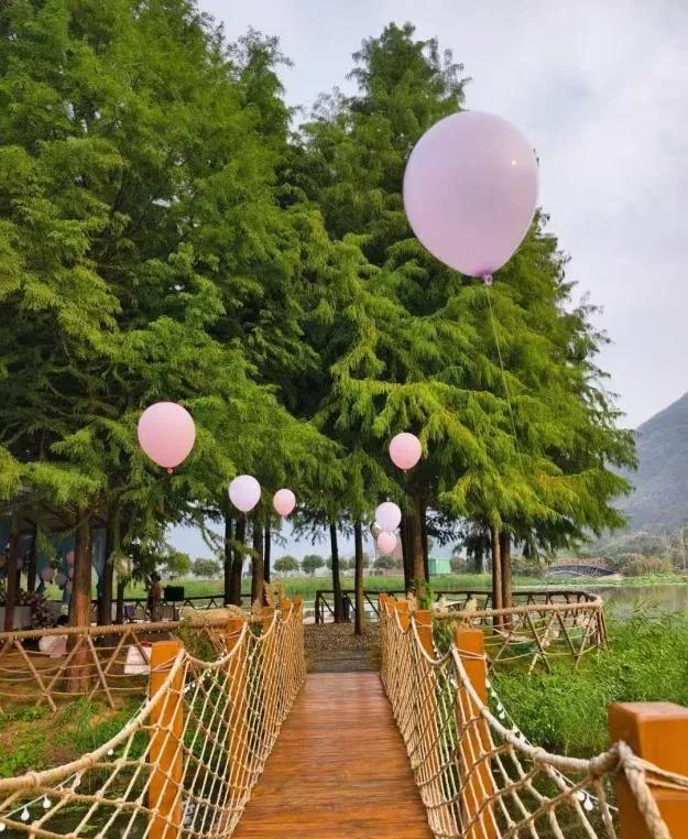 正式开放！黄石新增一处露营好去处