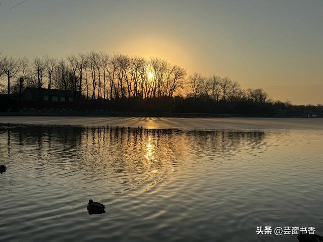 30分钟治愈你的焦虑，带你漫步最治愈的公园之一：北海公园