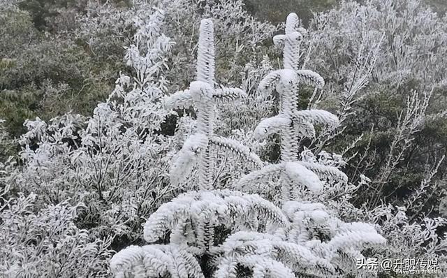 探寻天景山冰雪之旅,体验闽赣之巅!