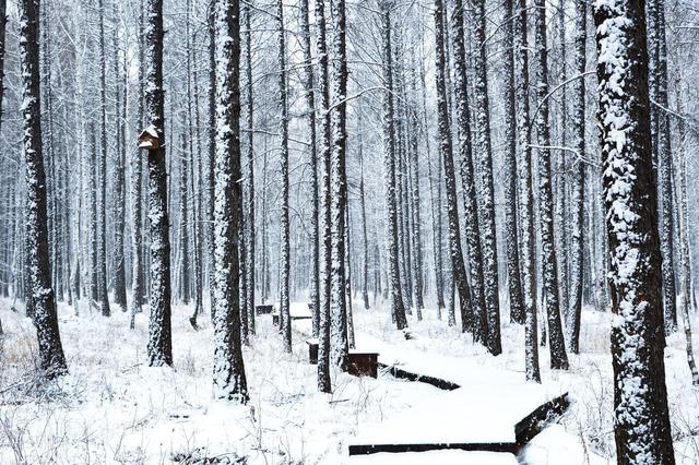 最喜欢的旅游风景照推荐