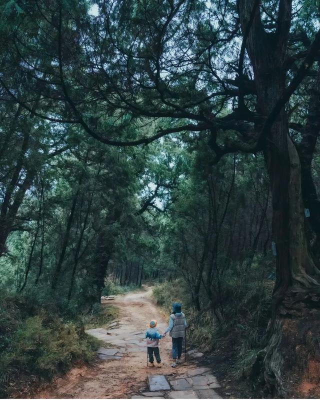 秋假冲剑阁！带娃解锁古道雄关里的“嗨玩密码”