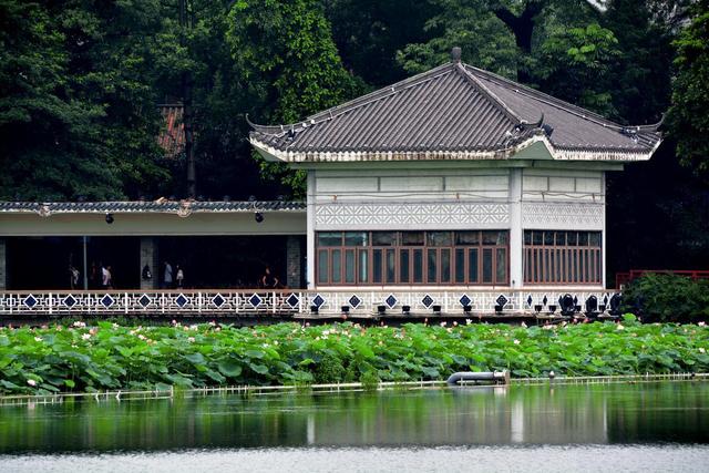 0元游广州！广州这8个景点适合一日游，免费又好玩，你去过几个？