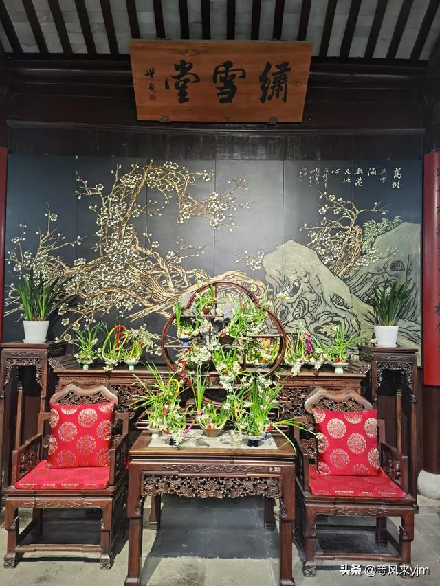 突然发现，上海周边这两个小城，就是个黄金旅游地，妥妥的后花园