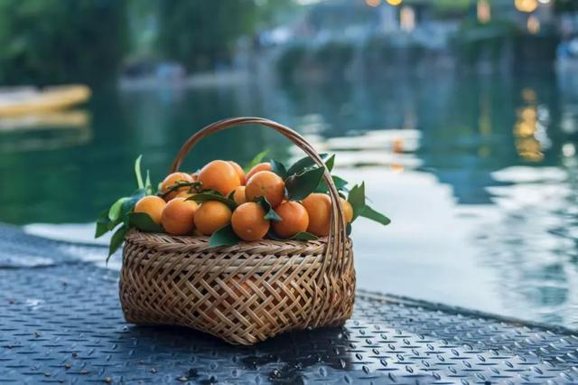 金龙巡游映夜江 金桔飘香启新程 | 阳朔金龙巡游暨金桔礼遇专场活动举行