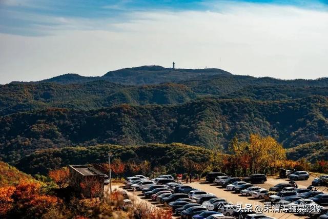 陕西渭南：姹紫嫣红 游人如织 服务周到 韩城香山红叶欣赏正当时