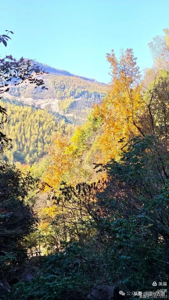 踏秋胜地，天脊龙门！浙江这个4A级景区已美成童话，等你来打卡