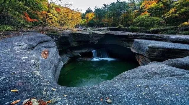 成都出发2.5h刹拢最绝红叶之城！秋色媲美九寨，一城吃够三省美食！更有山林温泉泡过瘾！