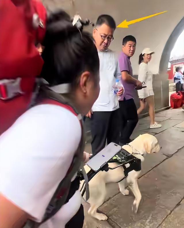 带导盲犬爬泰山的夫妻被网友批评，导盲犬芬迪看着非常累