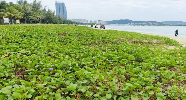 情到深处是天涯