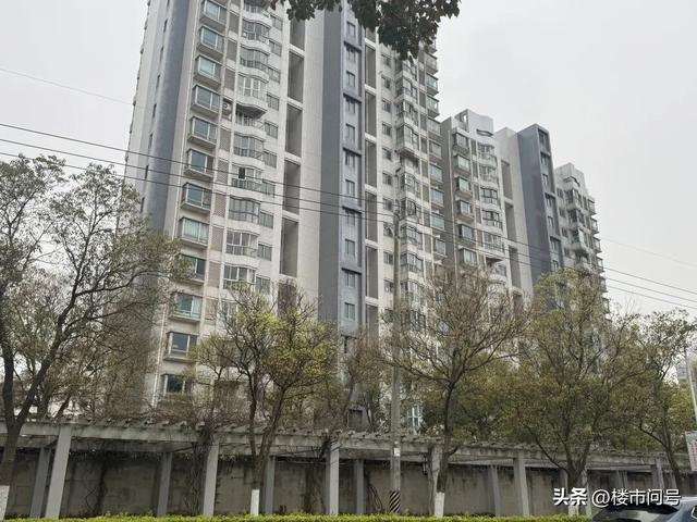 上海的海岸线，要开始蜕变了