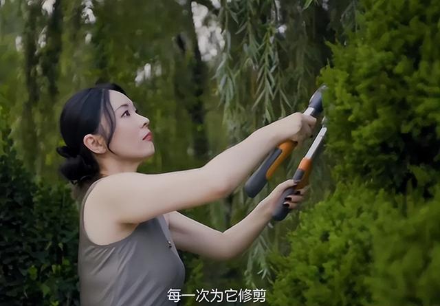 霍思燕北京的家似庄园，奢华的令人咂舌，父母双亡养一堆宠物感藉