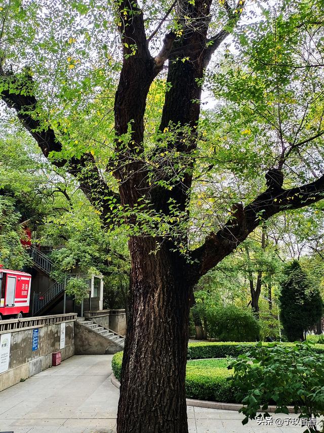 兰州市五泉山公园掠影 风景 古建 古树 雕塑 广场