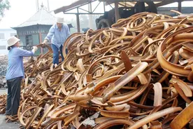 废铜价格暴跌超4000元！2025年4月7日废铜最新回调整价格。图片