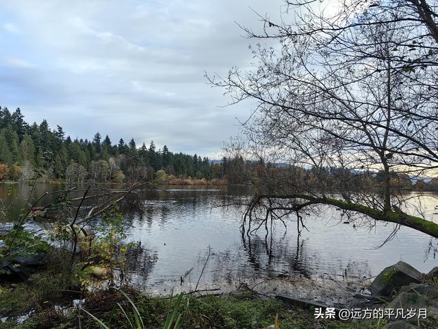 温哥华游记（一）