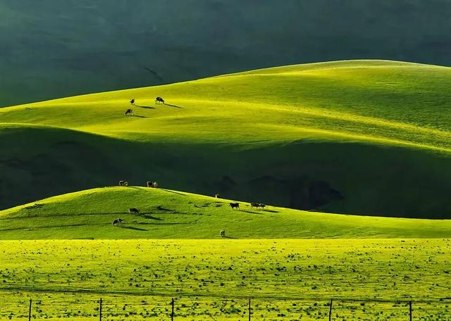 燕南赵北‖光影草原