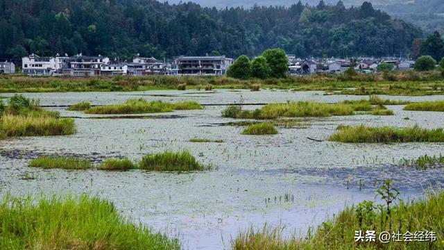 每日一景|云南腾冲北海湿地风景区