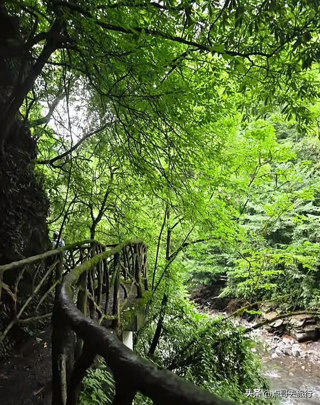 成都周边清凉胜地，三伏天穿长袖，吊桥、瀑布、栈道，不要门票！