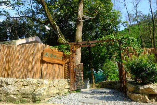 长岭街“美丽庭院”颜值出圈！好吃趣玩，一天根本逛不完