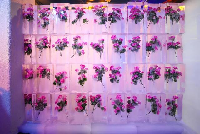 -8℃冰封最美海棠！和平区建“尔滨”同款冰雪世界，365天随时玩雪