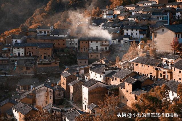 浙江周边秋季赏景全攻略！7 大类 36 个点位，柿子 / 稻浪 / 红枫一站齐
