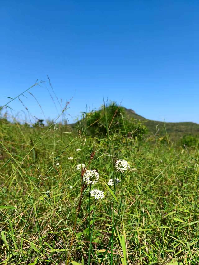 封庄村～玉皇顶～九里山～高家窑，一场雨后山野穿越记