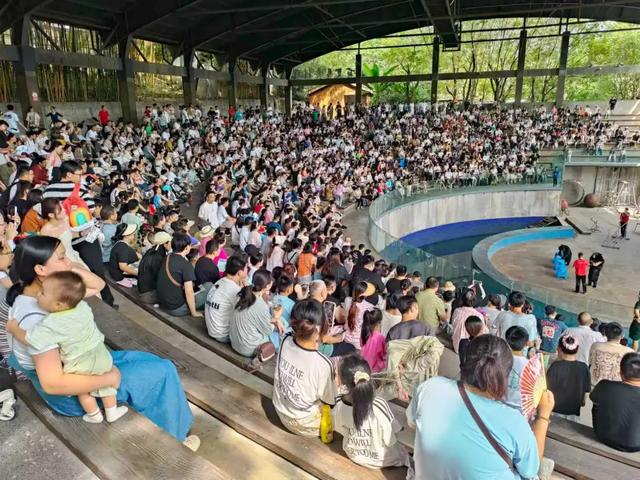 238.2万人次！安吉交出亮眼“双节”成绩单