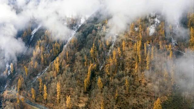 云雾缭绕 喀纳斯驼颈湾