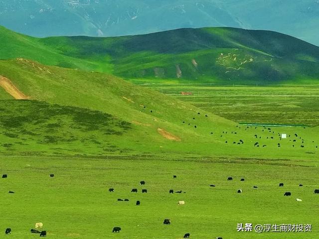 9月旅行爽翻了！避开人潮的10个宝藏地，从金黄草原到桂香园林…
