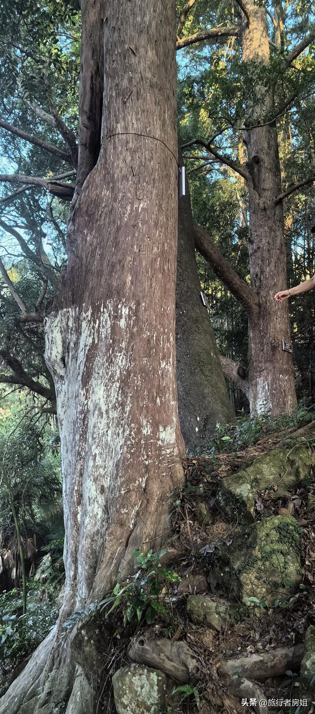 一条古道从浙江到安徽，全程经过三个古村落
