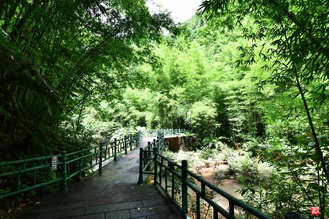 赤水四洞沟瀑布