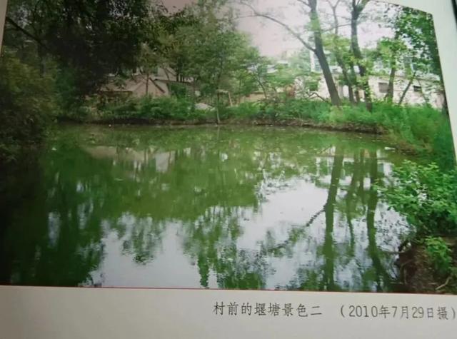难忘我的故乡——唐河县毕店镇张延龄村
