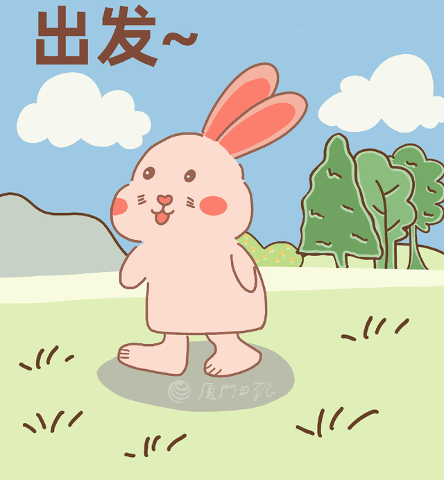刷屏！超万平方米的壮丽花海已开好！速来厦门这里拍大片……