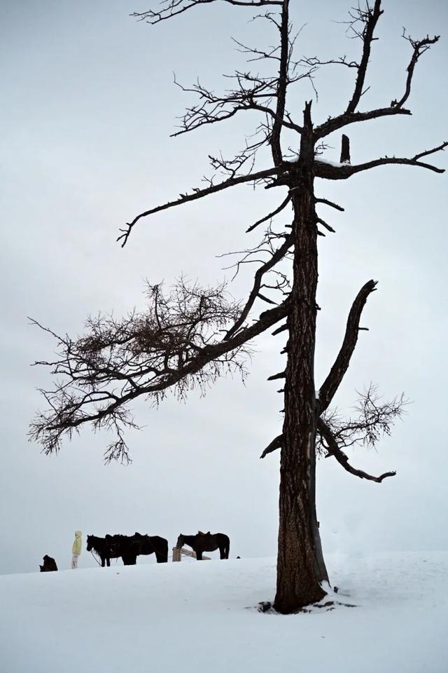 千万别在冬天去新疆!因为去了就回不来了……