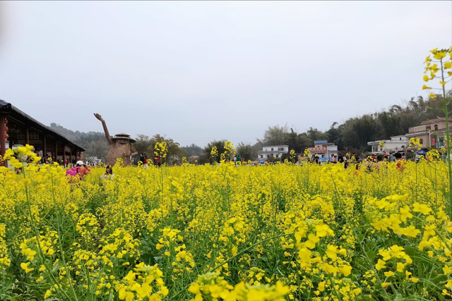 人在广东不知道去哪里玩？这10个小众景点，景色完全不输网红景点