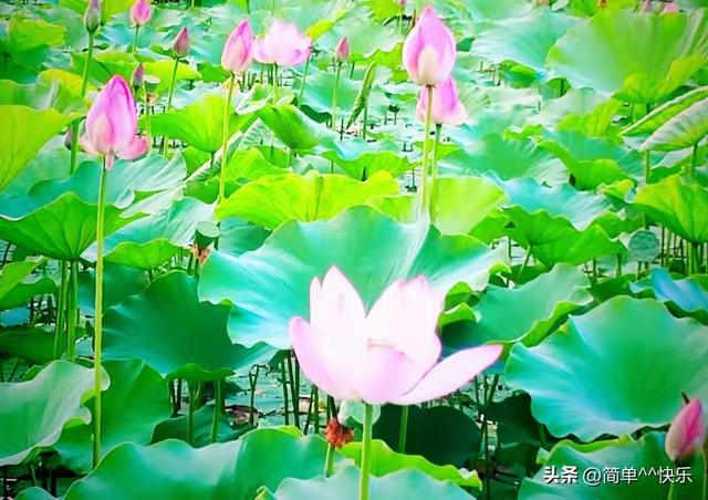 封神级别的微信昵称，好听到爆，个个惊艳。