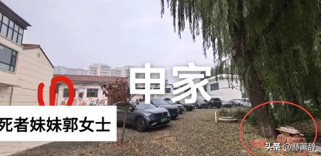 狗主人被反杀案开庭，9人闯门打砸，妻子后悔冲动，更多细节披露