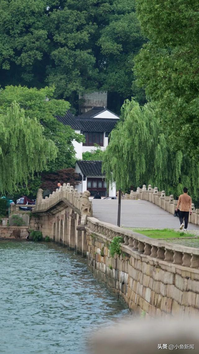 我等得花儿都...开了