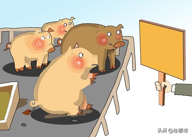 生肖猪注意：12月15到20号，两件麻烦事逼近，提前准备不吃亏！