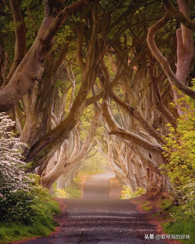 16个欧洲童话目的地：开启你的梦幻之旅